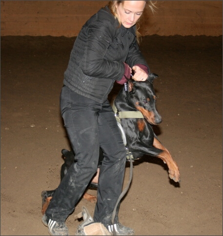 Training in Estonia 11/2007